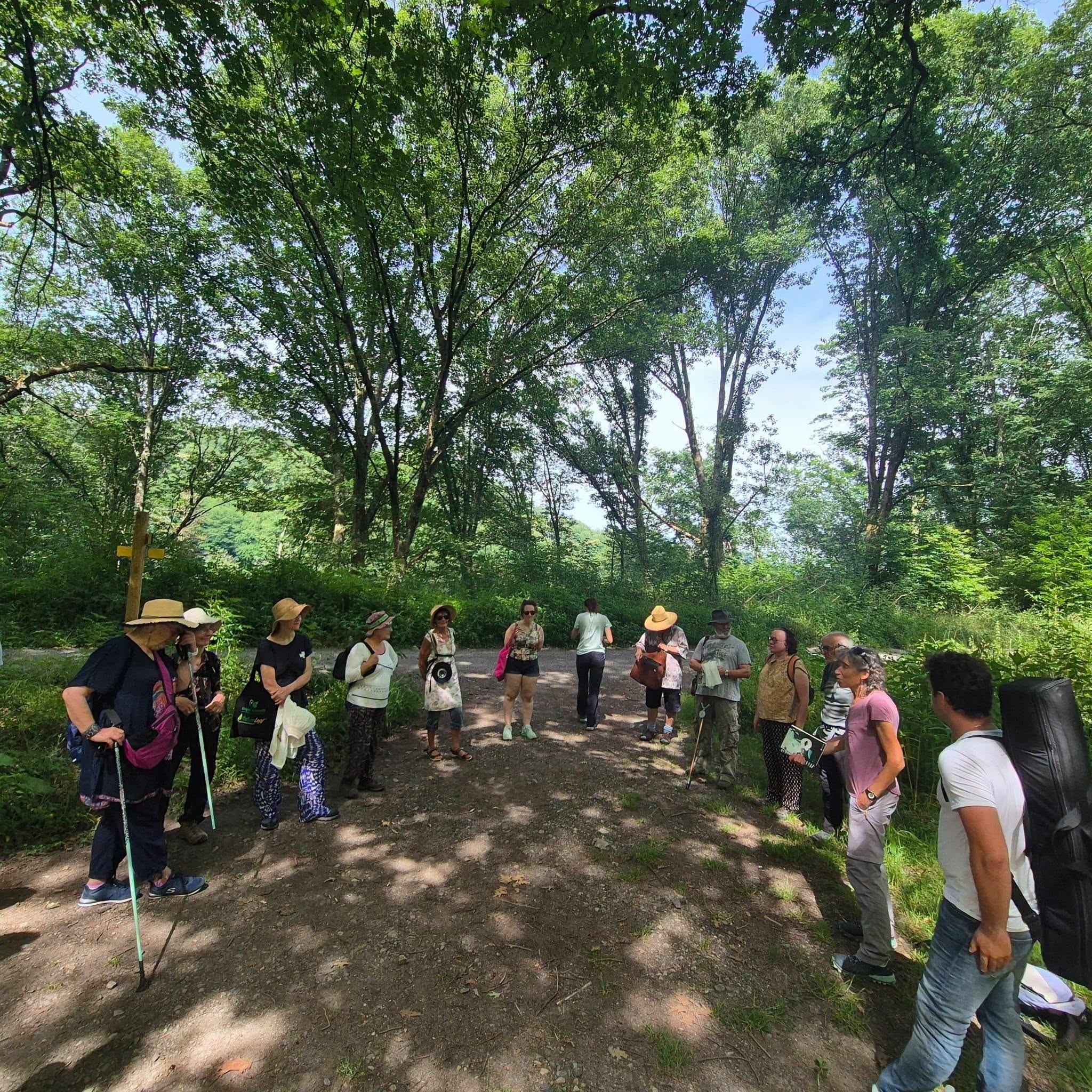 Lourdes : intéressante « Nuit des forêts »