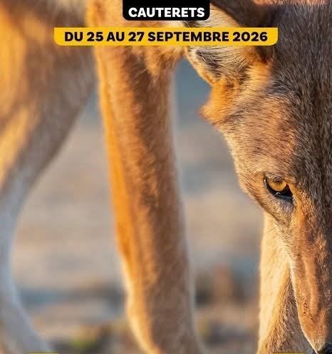 12ème édition du Festival pyrénéen de l’image nature de Cauterets du 25 au 27 septembre