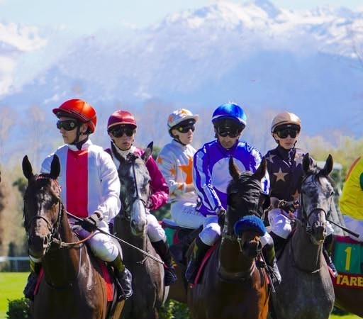 Tarbes : le Conseil départemental se mobilise pour pour la défense de la filière hippique locale et le soutien à l’hippodrome de Laloubère